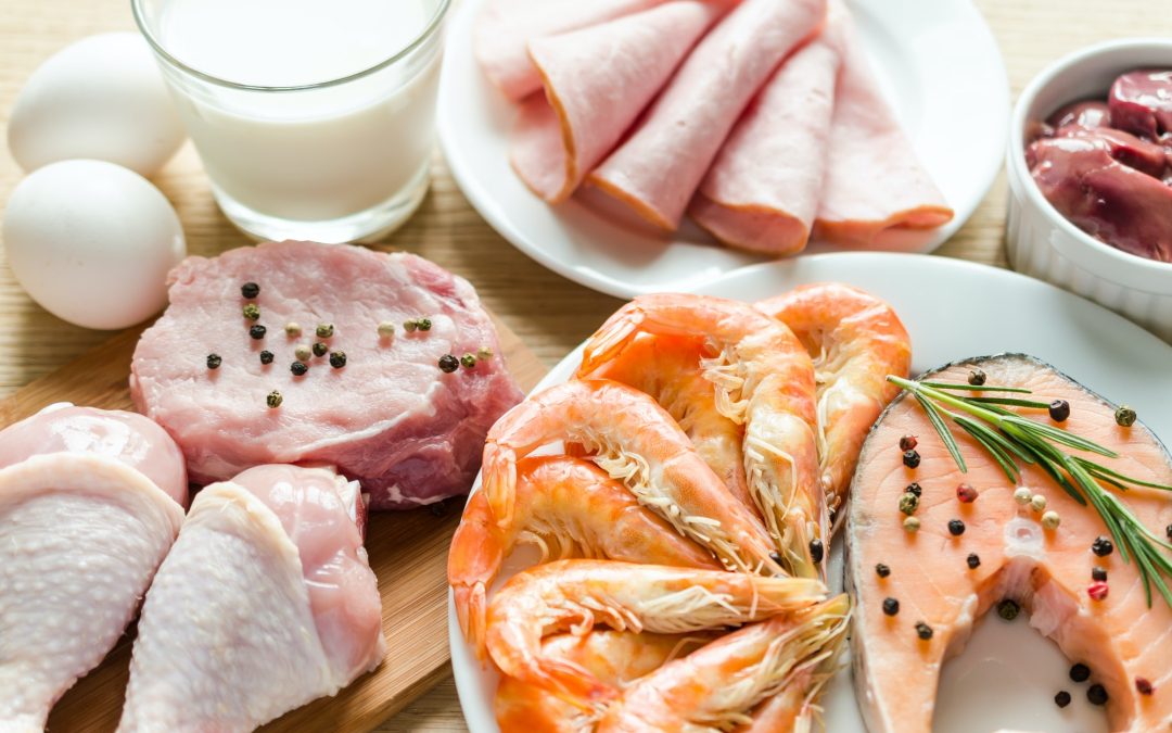 Making Informed Choices: A Guide to Selecting the Right Protein Meat for Your Diet